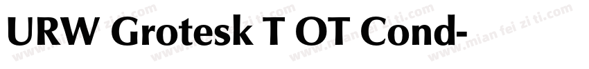 URW Grotesk T OT Cond字体转换